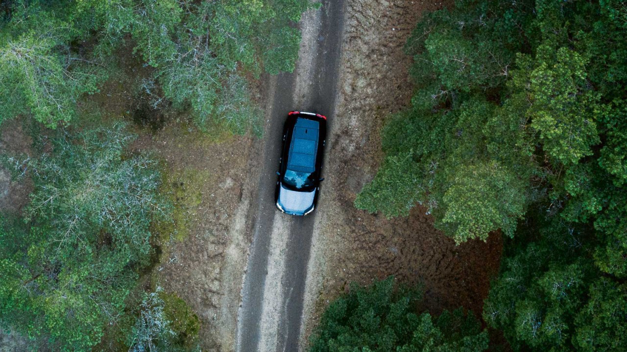 Автомобил RAV 4 в гората